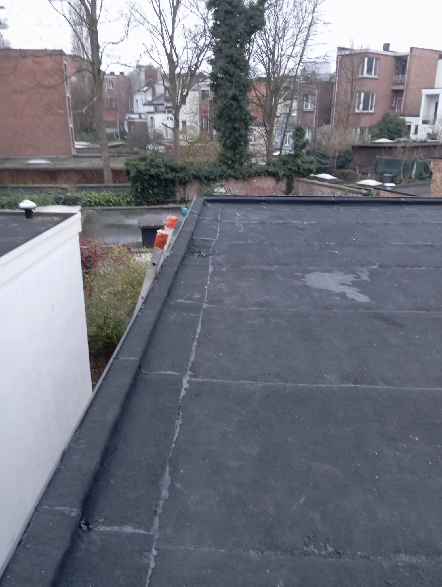 Toit plat fini en EPDM noir avec rive soignée, vue sur les jardins arrière
