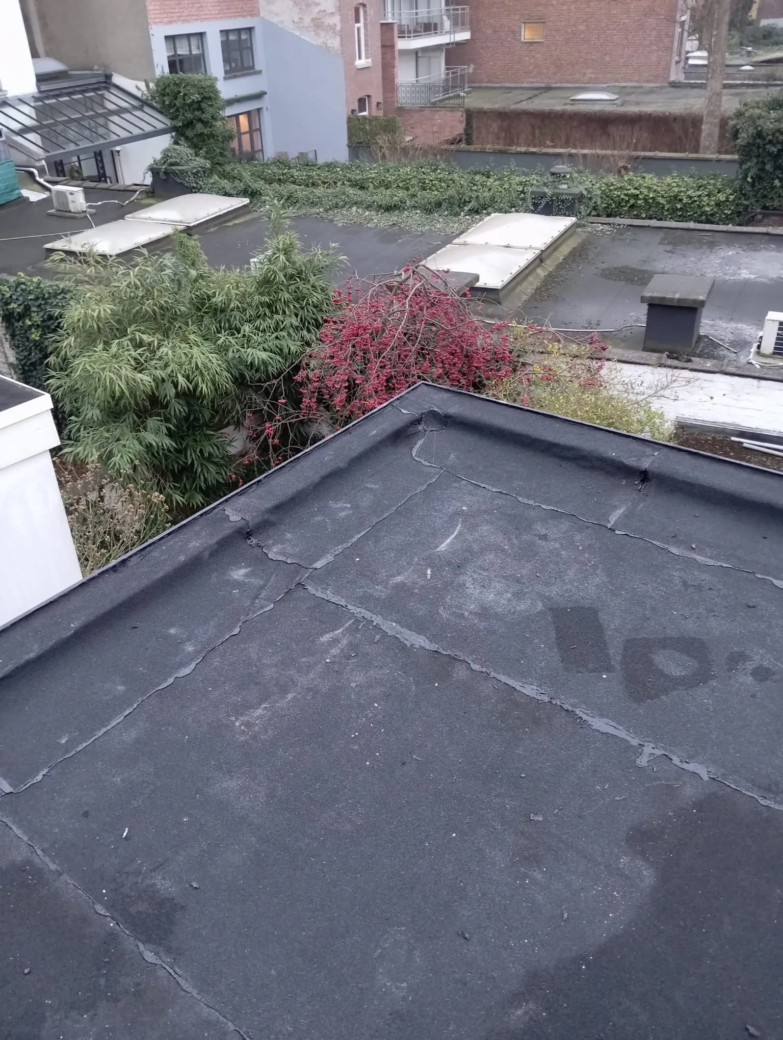 Toiture plate existante vue d'en haut, avec les toits et jardins voisins